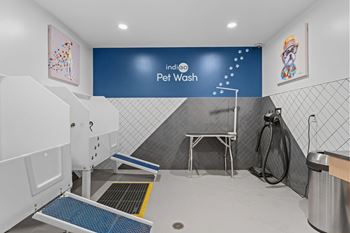 Pet wash station